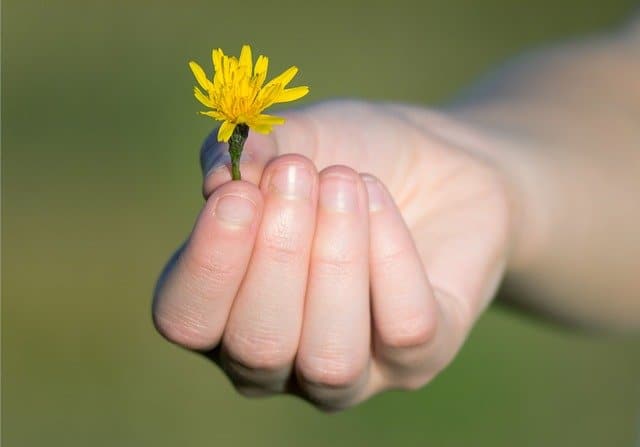 Sentir gratitud en los pequeños detalles - Happ